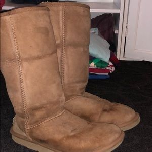 chestnut tall uggs